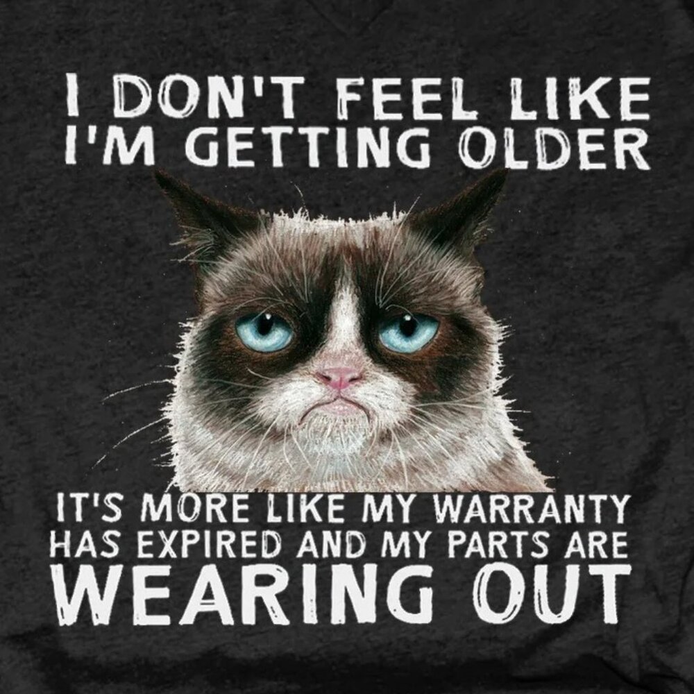 Women's Funny Qoute Grumpy Cat Crew Neck Loose T-Shirt - Picture 2 of 4